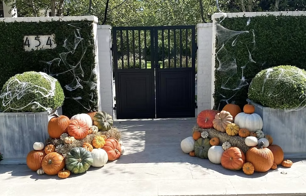Fall Royalty