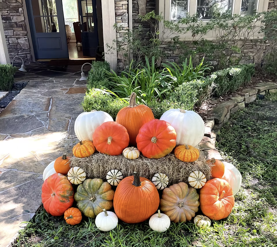 Harvest Bundle
